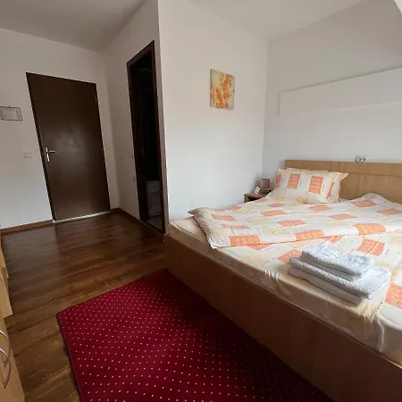 Pensiunea Class Guest house 3*