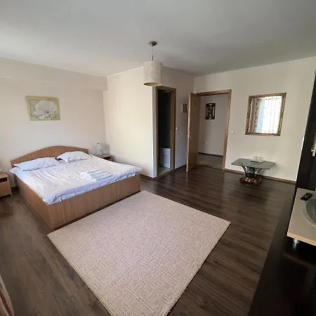 Pensiunea Class Guest house Saliste (Sibiu)