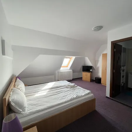 Pensiunea Class Guest house 3*
