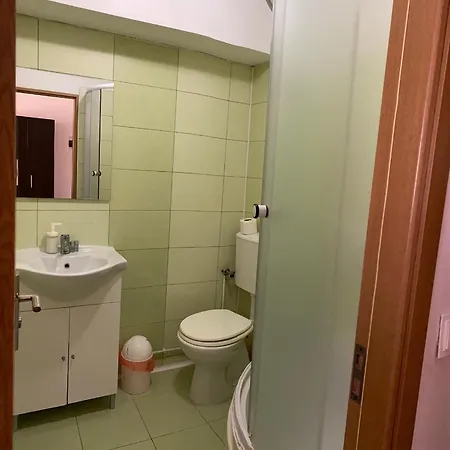 Pensiune Pensiunea Class Sălişte